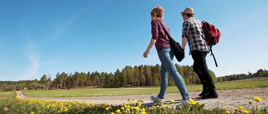 En grusväg kantad av gula blommor. Blå himmel och skog. En kvinna och en man går på vägen. Mannen har hatt och ryggsäck.